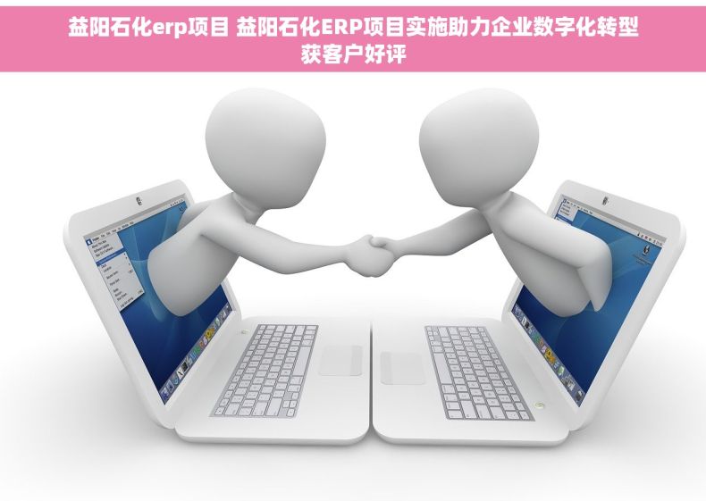 益阳石化erp项目 益阳石化ERP项目实施助力企业数字化转型获客户好评