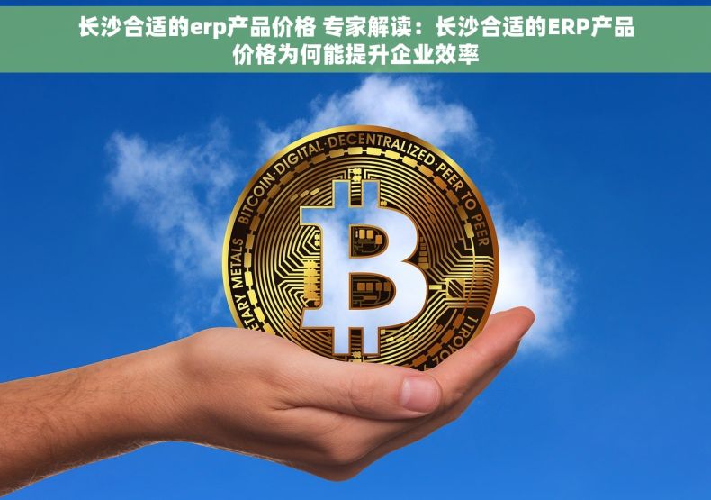 长沙合适的erp产品价格 专家解读：长沙合适的ERP产品价格为何能提升企业效率