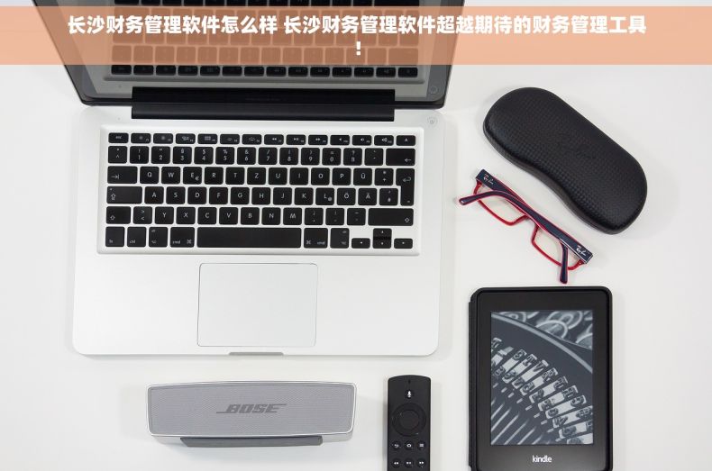 长沙财务管理软件怎么样 长沙财务管理软件超越期待的财务管理工具！