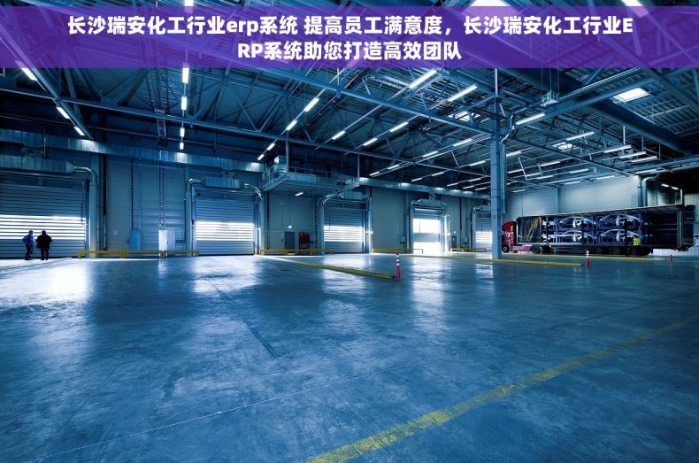 长沙瑞安化工行业erp系统 提高员工满意度，长沙瑞安化工行业ERP系统助您打造高效团队