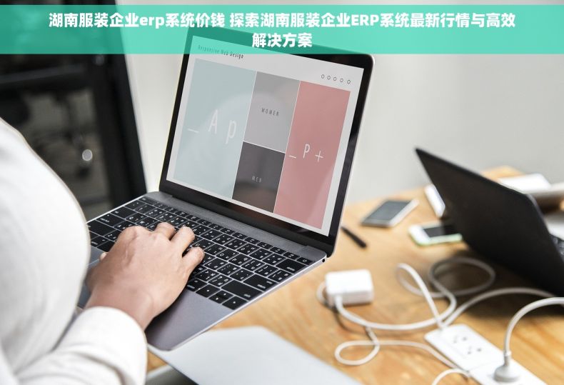湖南服装企业erp系统价钱 探索湖南服装企业ERP系统最新行情与高效解决方案