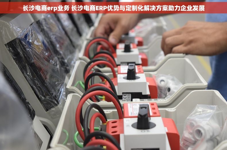 长沙电商erp业务 长沙电商ERP优势与定制化解决方案助力企业发展