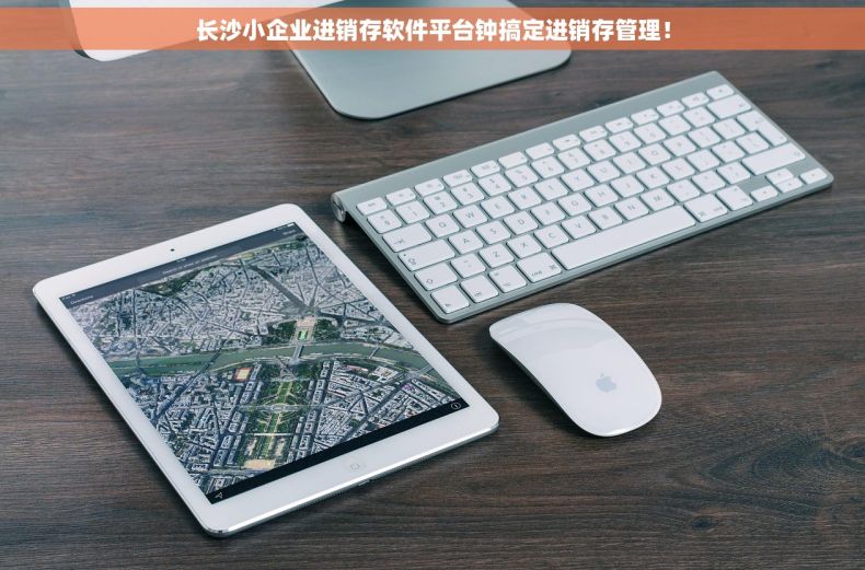 长沙小企业进销存软件平台钟搞定进销存管理！