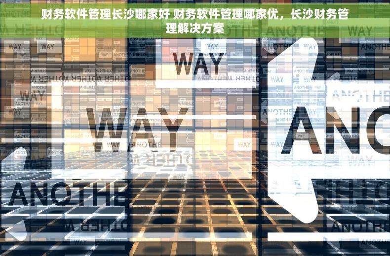 财务软件管理长沙哪家好 财务软件管理哪家优，长沙财务管理解决方案