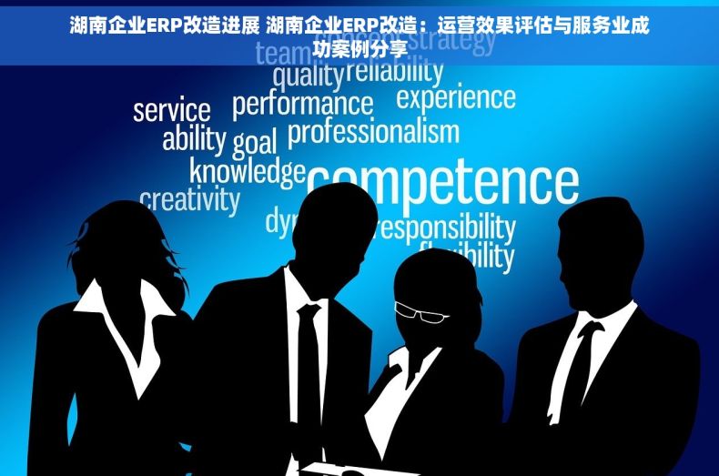 湖南企业ERP改造进展 湖南企业ERP改造：运营效果评估与服务业成功案例分享