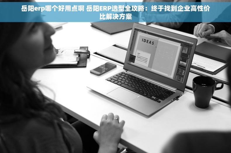 岳阳erp哪个好用点啊 岳阳ERP选型全攻略：终于找到企业高性价比解决方案