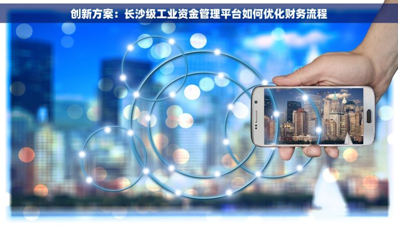 创新方案：长沙级工业资金管理平台如何优化财务流程