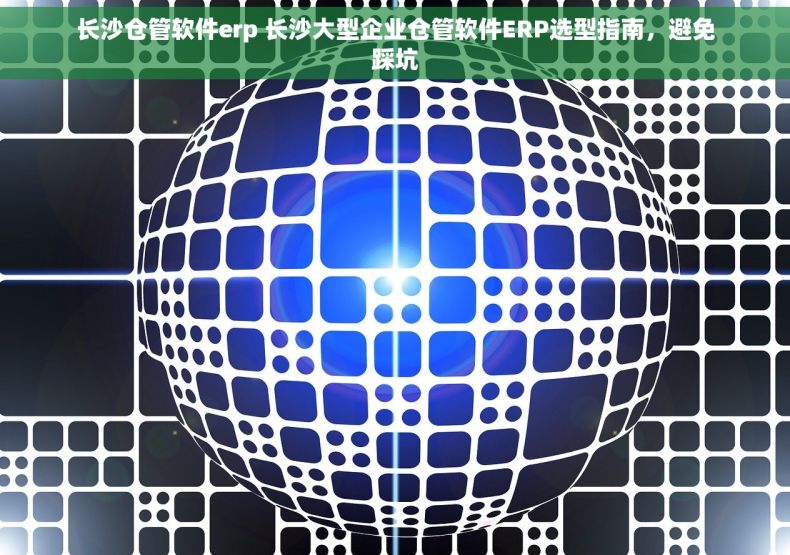 长沙仓管软件erp 长沙大型企业仓管软件ERP选型指南，避免踩坑