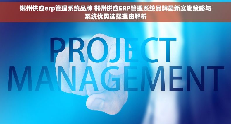 郴州供应erp管理系统品牌 郴州供应ERP管理系统品牌最新实施策略与系统优势选择理由解析