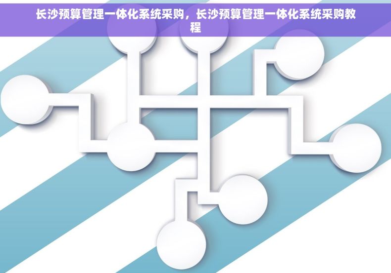 长沙预算管理一体化系统采购，长沙预算管理一体化系统采购教程