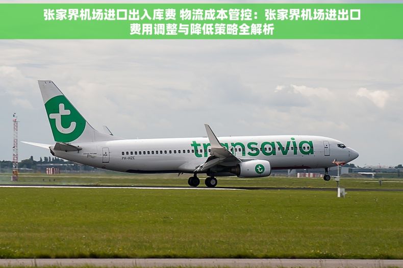 张家界机场进口出入库费 物流成本管控：张家界机场进出口费用调整与降低策略全解析
