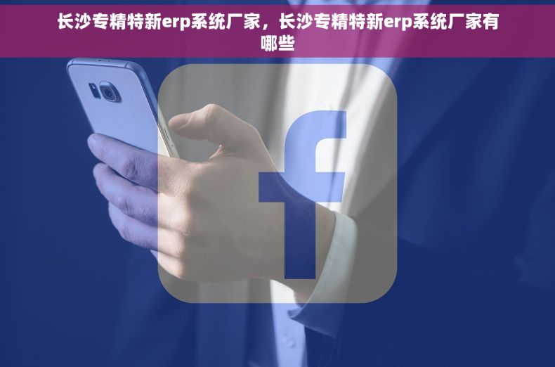 长沙专精特新erp系统厂家，长沙专精特新erp系统厂家有哪些