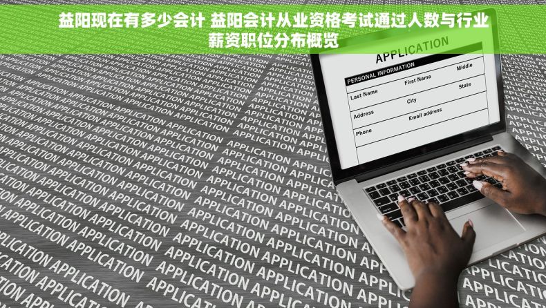 益阳现在有多少会计 益阳会计从业资格考试通过人数与行业薪资职位分布概览
