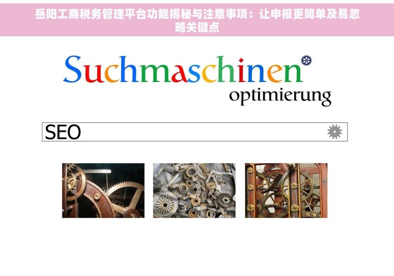 岳阳工商税务管理平台功能揭秘与注意事项：让申报更简单及易忽略关键点
