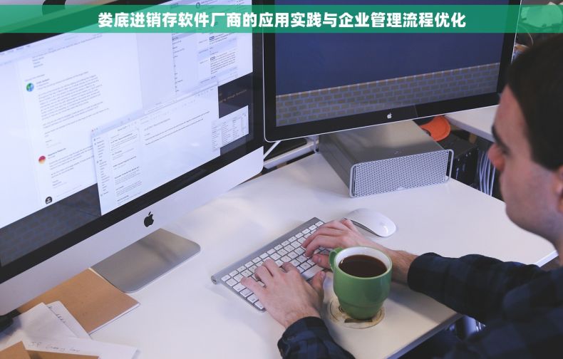 娄底进销存软件厂商的应用实践与企业管理流程优化