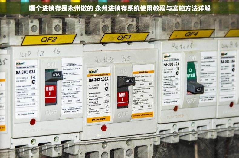 哪个进销存是永州做的 永州进销存系统使用教程与实施方法详解