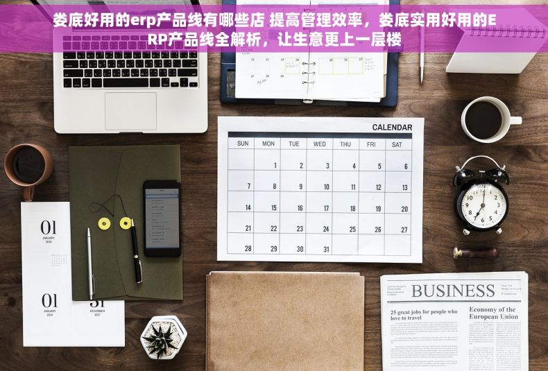 娄底好用的erp产品线有哪些店 提高管理效率，娄底实用好用的ERP产品线全解析，让生意更上一层楼