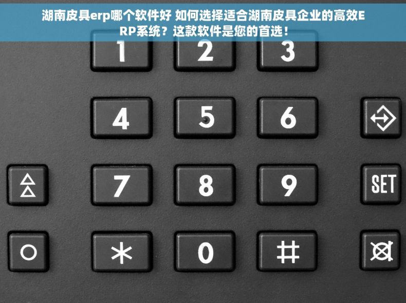 湖南皮具erp哪个软件好 如何选择适合湖南皮具企业的高效ERP系统？这款软件是您的首选！