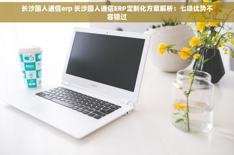 长沙国人通信erp 长沙国人通信ERP定制化方案解析：七项优势不容错过