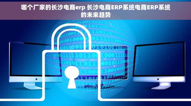哪个厂家的长沙电商erp 长沙电商ERP系统电商ERP系统的未来趋势