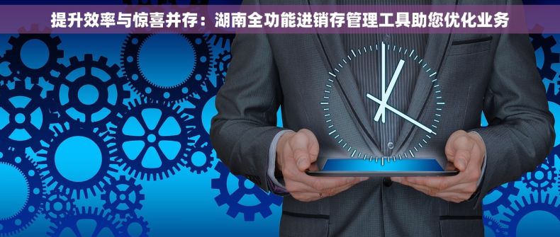 提升效率与惊喜并存：湖南全功能进销存管理工具助您优化业务