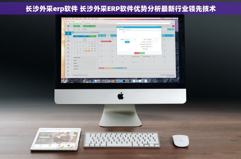 长沙外采erp软件 长沙外采ERP软件优势分析最新行业领先技术