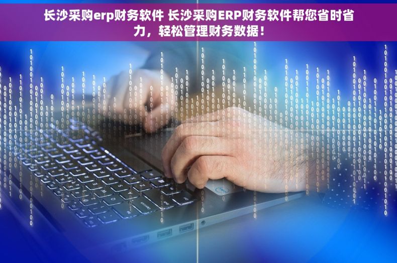 长沙采购erp财务软件 长沙采购ERP财务软件帮您省时省力，轻松管理财务数据！