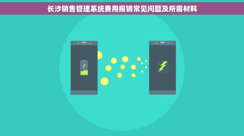 长沙销售管理系统费用报销常见问题及所需材料