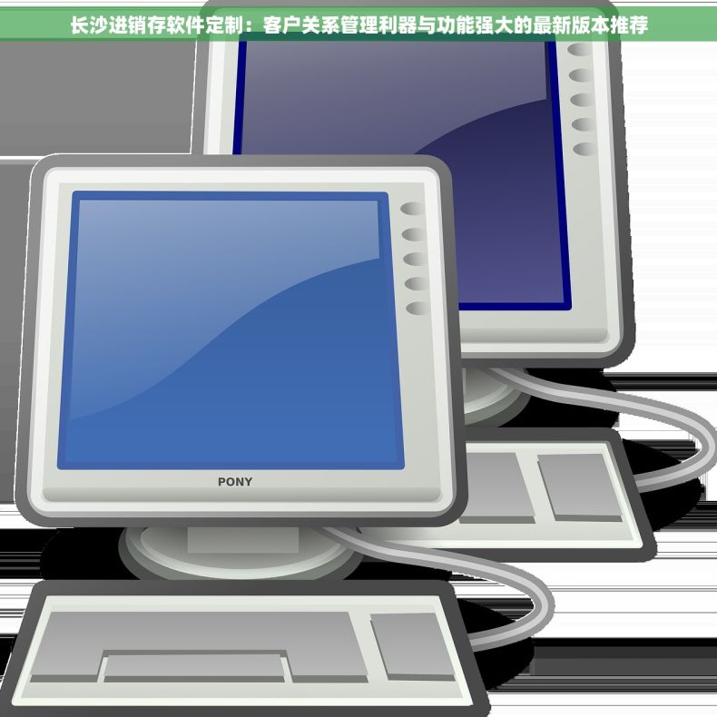长沙进销存软件定制：客户关系管理利器与功能强大的最新版本推荐