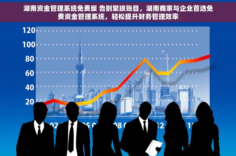 湖南资金管理系统免费版 告别繁琐账目，湖南商家与企业首选免费资金管理系统，轻松提升财务管理效率