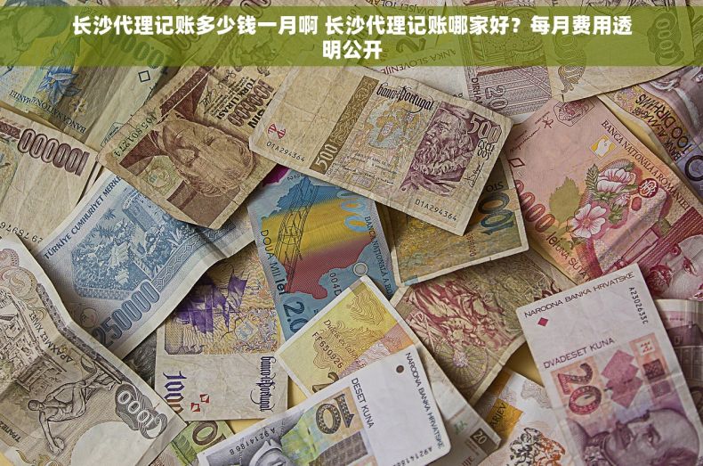 长沙代理记账多少钱一月啊 长沙代理记账哪家好？每月费用透明公开