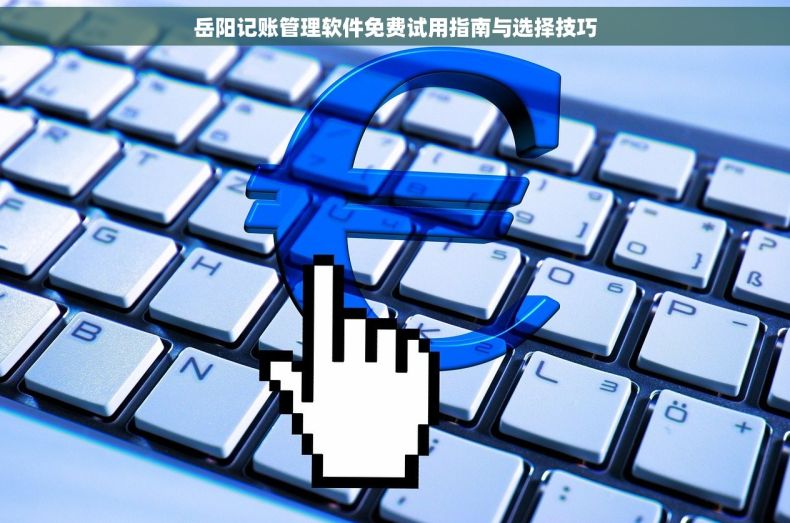 岳阳记账管理软件免费试用指南与选择技巧