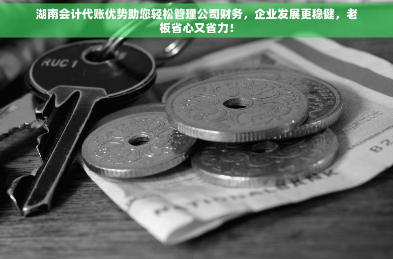 湖南会计代账优势助您轻松管理公司财务，企业发展更稳健，老板省心又省力！