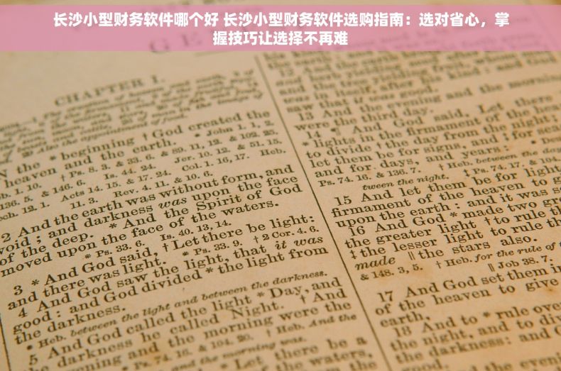 长沙小型财务软件哪个好 长沙小型财务软件选购指南：选对省心，掌握技巧让选择不再难
