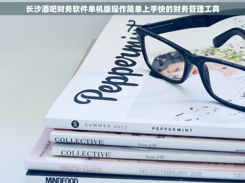 长沙酒吧财务软件单机版操作简单上手快的财务管理工具