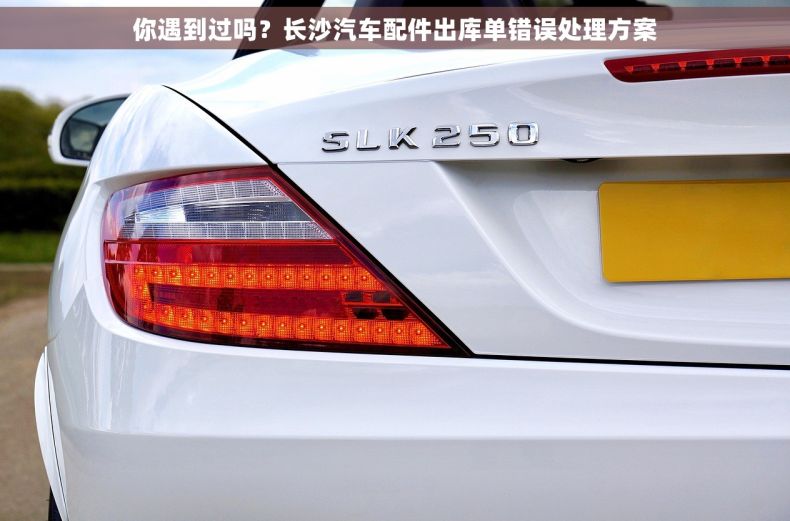 你遇到过吗？长沙汽车配件出库单错误处理方案