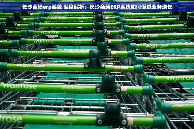 长沙商场erp系统 深度解析：长沙商场ERP系统如何促进业务增长