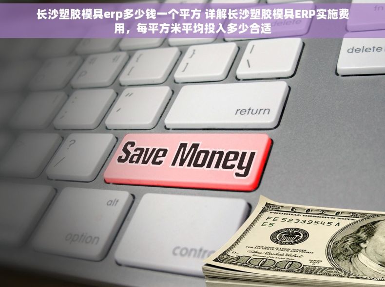 长沙塑胶模具erp多少钱一个平方 详解长沙塑胶模具ERP实施费用，每平方米平均投入多少合适
