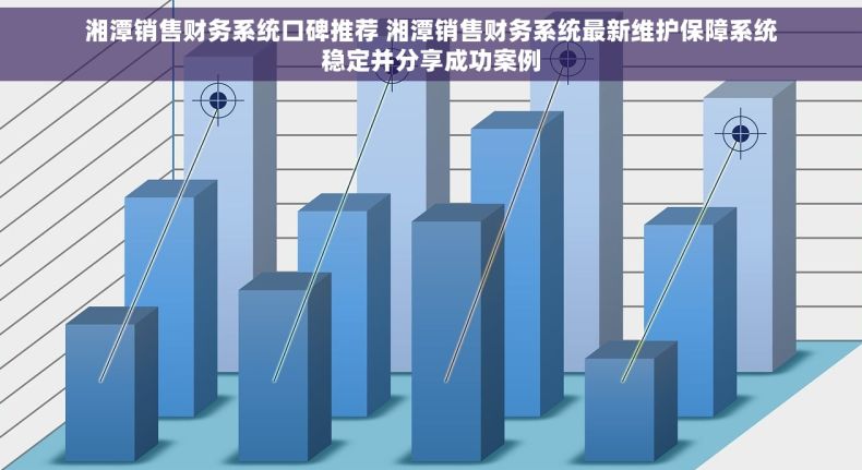 湘潭销售财务系统口碑推荐 湘潭销售财务系统最新维护保障系统稳定并分享成功案例