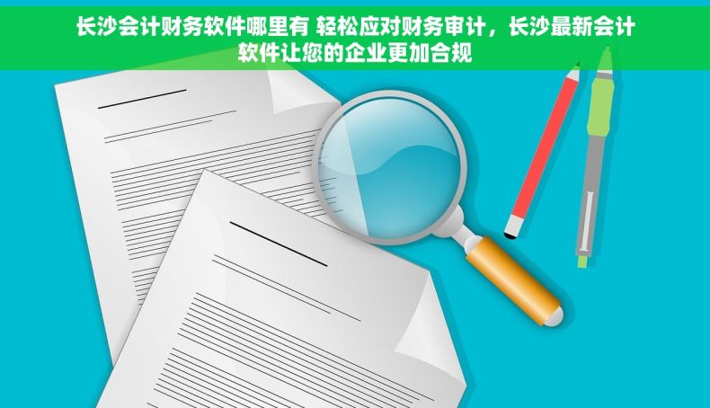 长沙会计财务软件哪里有 轻松应对财务审计，长沙最新会计软件让您的企业更加合规
