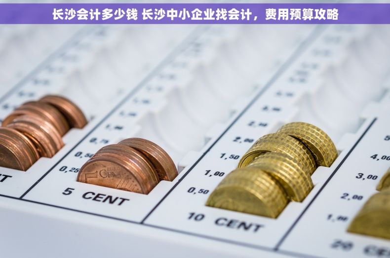 长沙会计多少钱 长沙中小企业找会计，费用预算攻略