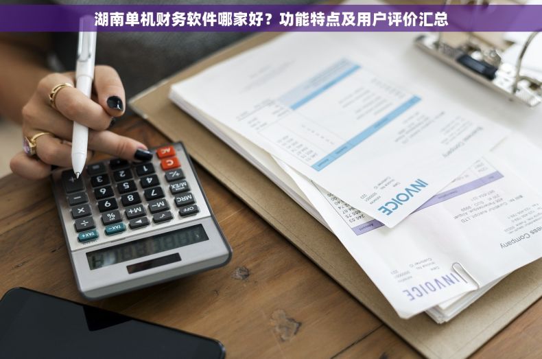 湖南单机财务软件哪家好？功能特点及用户评价汇总
