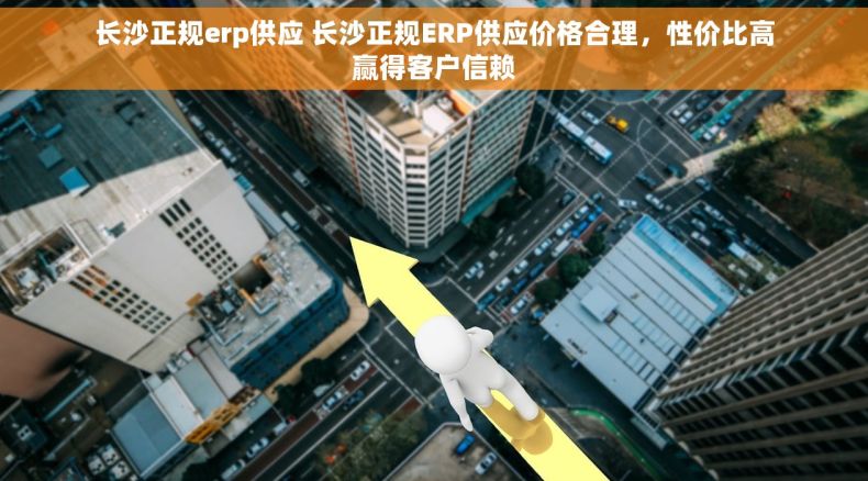 长沙正规erp供应 长沙正规ERP供应价格合理，性价比高赢得客户信赖