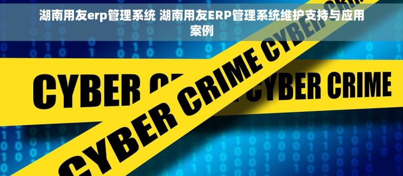 湖南用友erp管理系统 湖南用友ERP管理系统维护支持与应用案例