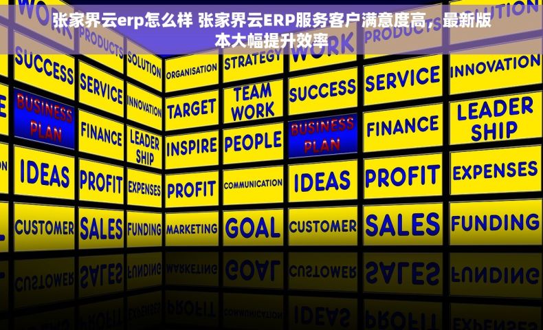 张家界云erp怎么样 张家界云ERP服务客户满意度高，最新版本大幅提升效率