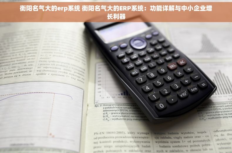 衡阳名气大的erp系统 衡阳名气大的ERP系统：功能详解与中小企业增长利器