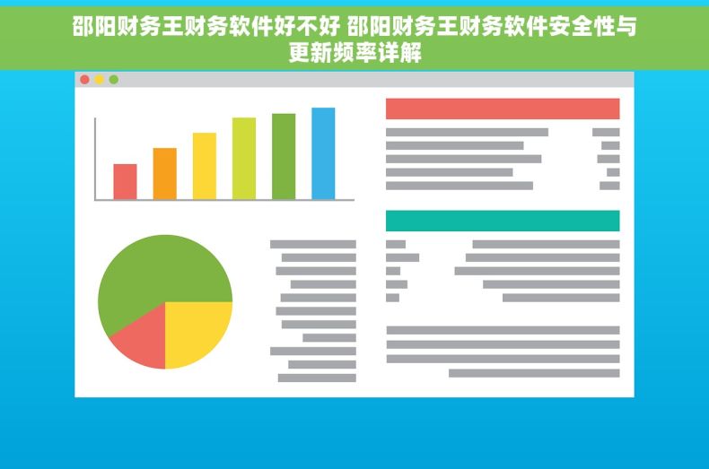 邵阳财务王财务软件好不好 邵阳财务王财务软件安全性与更新频率详解