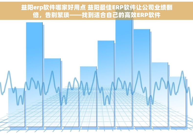 益阳erp软件哪家好用点 益阳最佳ERP软件让公司业绩翻倍，告别繁琐——找到适合自己的高效ERP软件