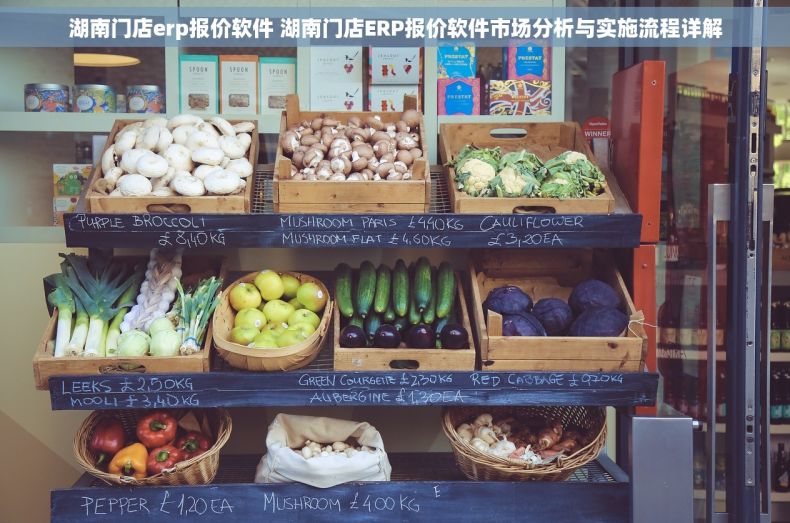 湖南门店erp报价软件 湖南门店ERP报价软件市场分析与实施流程详解