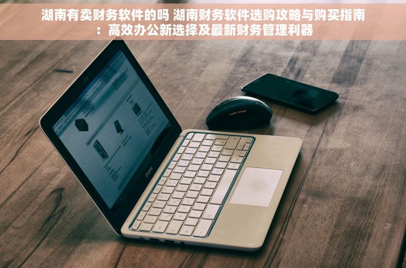 湖南有卖财务软件的吗 湖南财务软件选购攻略与购买指南：高效办公新选择及最新财务管理利器